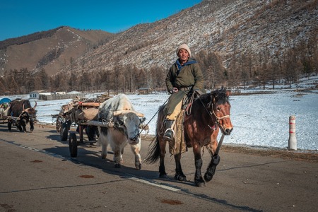 mongolsko obrázek18